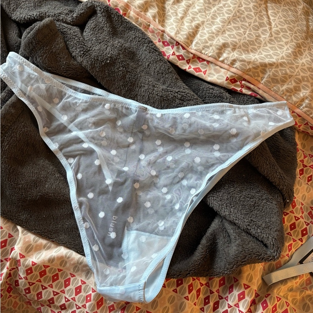 NWT Blush Lingerie Obsidian Brazilian Bikini Briefs Sky Blue XL